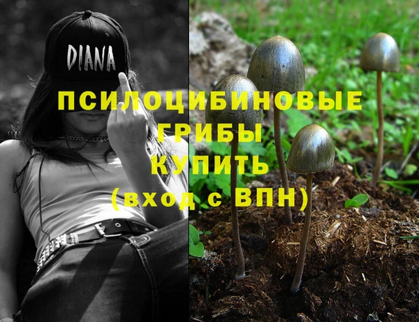 тгк Абаза