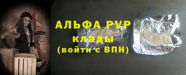 PSILOCYBIN Болхов