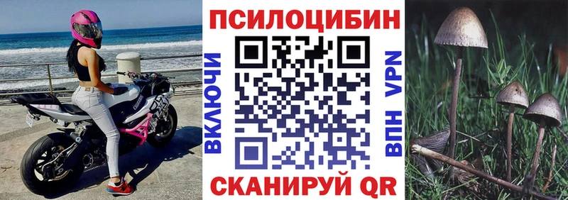 закладка  Новотроицк  Псилоцибиновые грибы мицелий 