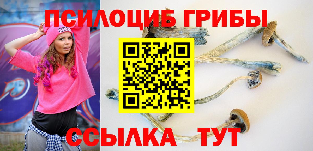 Псилоцибиновые грибы Cubensis  Вход с VPN  Новотроицк 